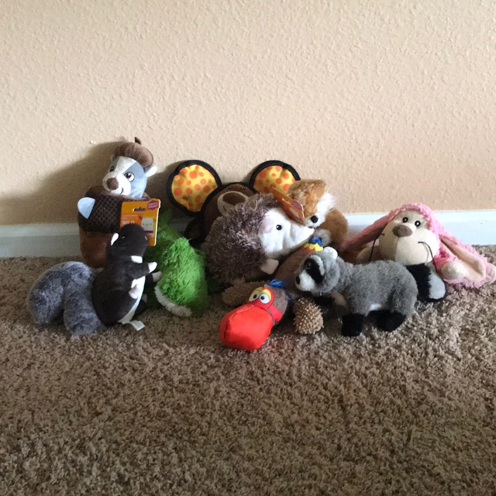 DOG TOYS - New/unused/barely used.